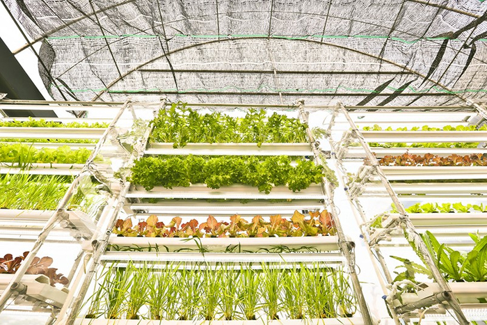 探探有偿约会的暗语江湖：当社交软件变成灰色交易温床