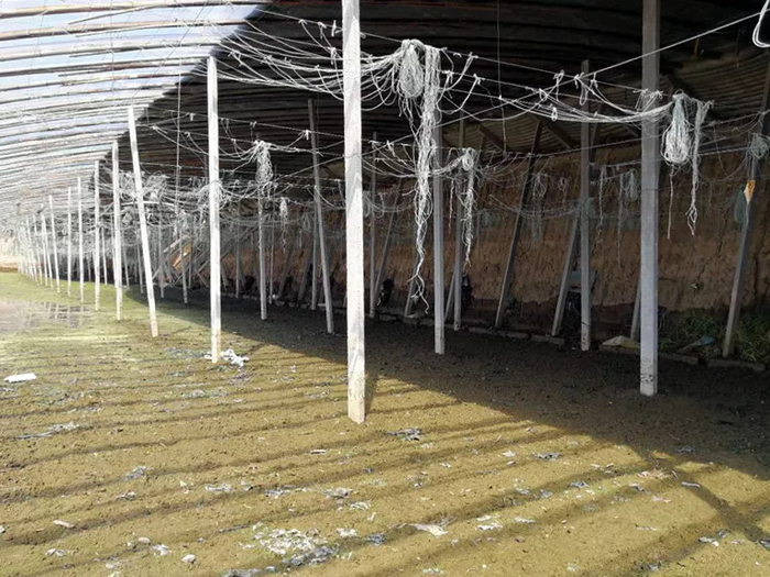 县委大院拦厅长是第几集