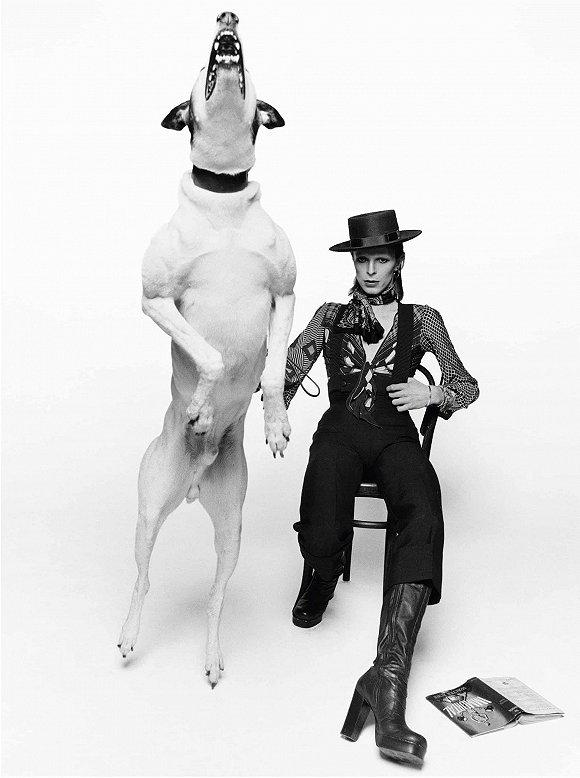 Terry O‘Neill为David Bowie拍摄的照片 图片来源:Iconic Images