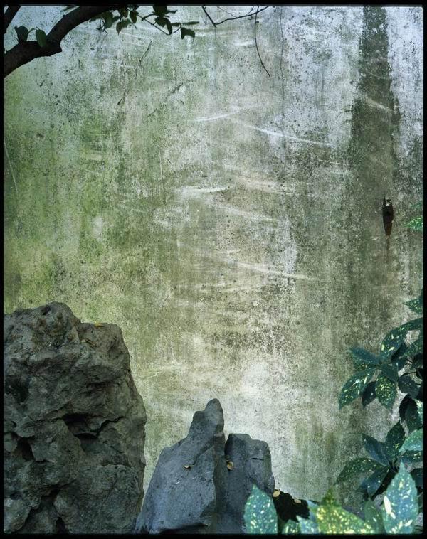 埃莱娜·比奈谈摄影：何以聚焦苏州园林的墙垣与建筑的碎影