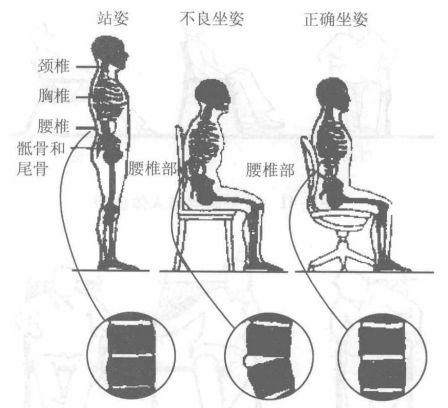 知识 ｜ 家具设计中的人体工程学