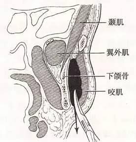 99%的女生不知道，跷二郎腿脸会变大！