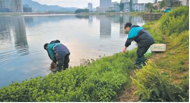 耒阳引赋青少年心理健康发展中西湖娱乐城心首期培训班第二次课程缤纷来袭