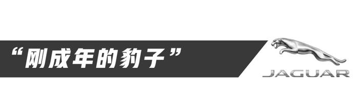 300匹马力、全铝车身，30岁左右开这车100%人生赢家！