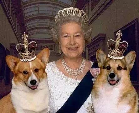 英国王室再添一位小王子，而92岁的伊丽莎白女王也要卸任了……