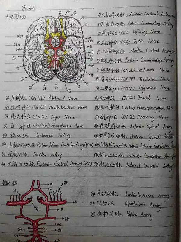 吴炳钢的笔记本内容