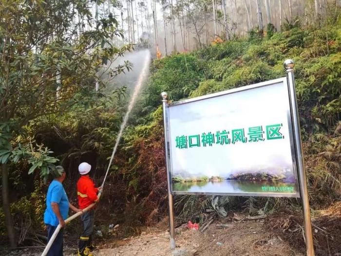 开平市迅速扑灭一起突发山火 纵火嫌疑人当场抓获