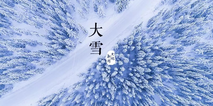 新篁傲雪简谱_傲雪寒梅的图片