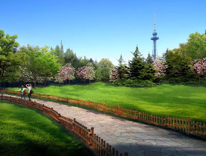 赏花 玉兰园大草坪.jpg