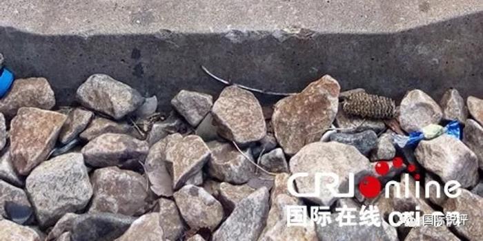 以狂人口吻_狂人日记