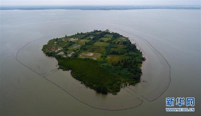 东寨港国家级自然保护区红树林面积扩大至1771公顷