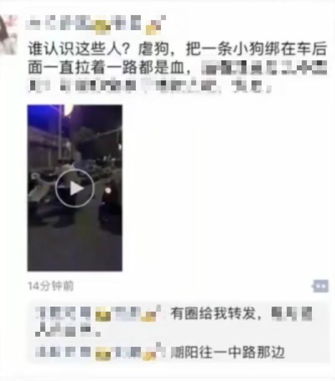 残忍！小狗被男子骑摩托拖行奄奄一息 路人看不下去花钱买走