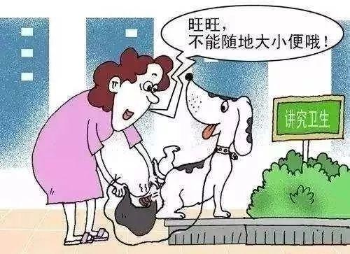 狗狗随地大小便惹人烦，深圳市民建议设置“遛狗专区”