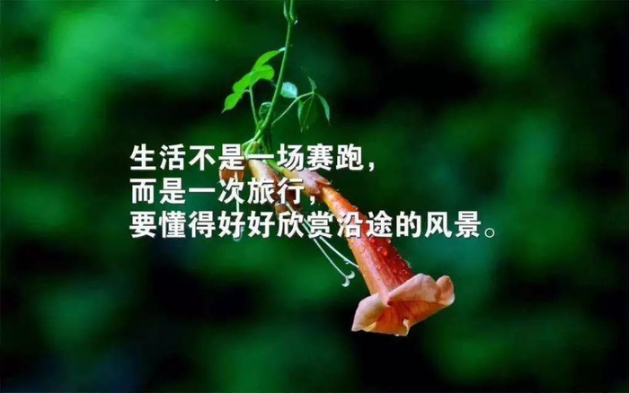 人生感悟经典句子，句句触动人心