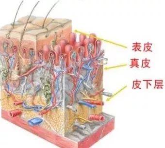 38岁蔡依林维持少女感的秘密竟是...网友称很实在