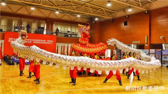 2019北京市小学生篮球精英训练营暨“朝阳之星”校园篮球训练营正式启动