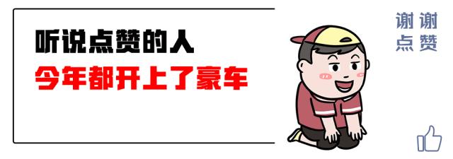 30万购车预算不买宝马奥迪，大多数人都会选择它？