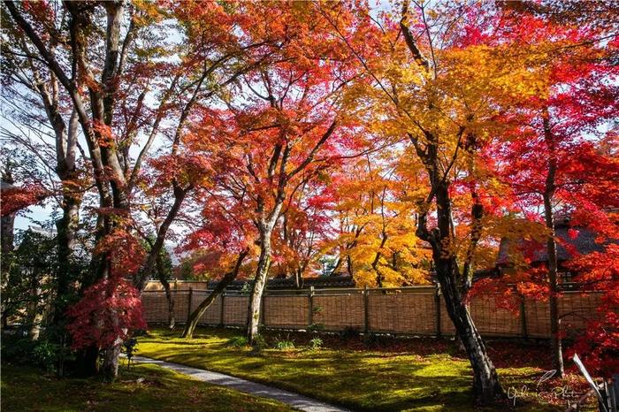 五入京都，探寻日式庭院的细节之美