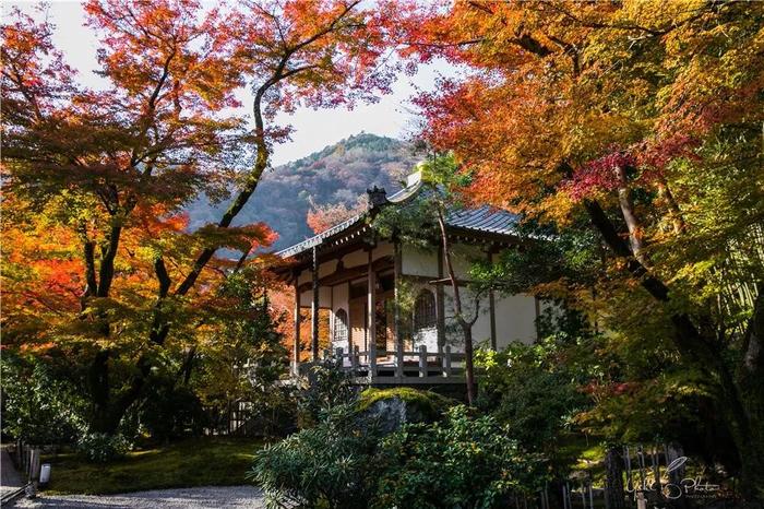 五入京都，探寻日式庭院的细节之美