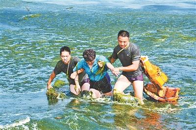 图由王凯摄
