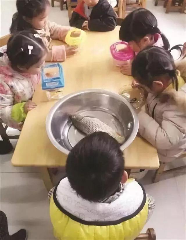 幼儿园让大家带水壶秋游，这孩子带了……哈哈哈哈哈哈哈