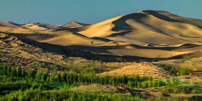 如何让土地寸草不生 w700h350z1l10t109f7.jpg