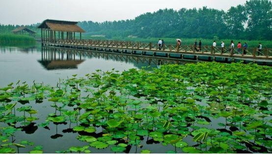 南通新增50个新地标！未来的海门竟会变成这样，看完彻底被震撼！