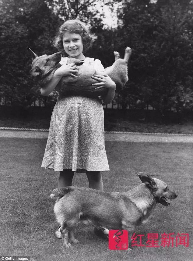 91岁英女王痛失最后一只柯基犬 它曾和007出镜伦敦奥运会