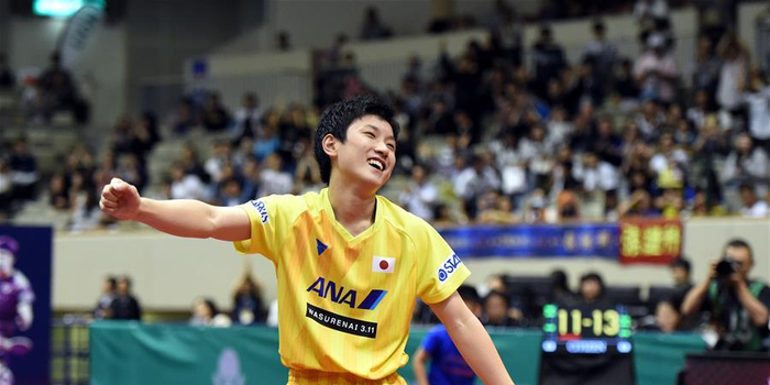 张继科再负张本智和获日本公开赛男单亚军