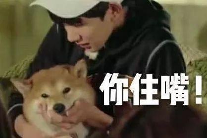 这一点也不夸张!