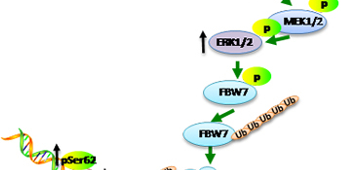 什么是基因转变技术 w700h350z1l10t10604.jpg