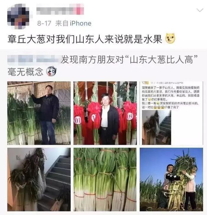 在山东，很多人最多算半根葱