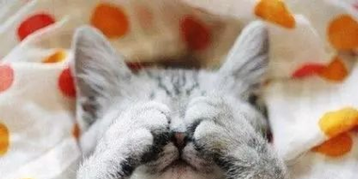 准女婿竟是亲生儿子 女儿的鉴定结果更震惊