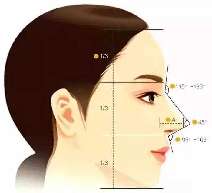 好看鼻子的角度