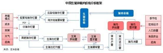 图 9中国生猪和猪肉价格分析框架