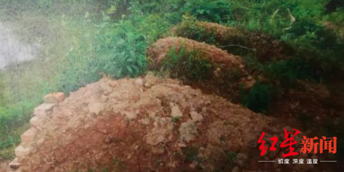 两兄弟伪造16座坟墓骗补6万多元 双双获刑被罚款