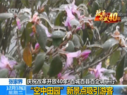 张家界：守住青山绿水 打造脱贫致富之路