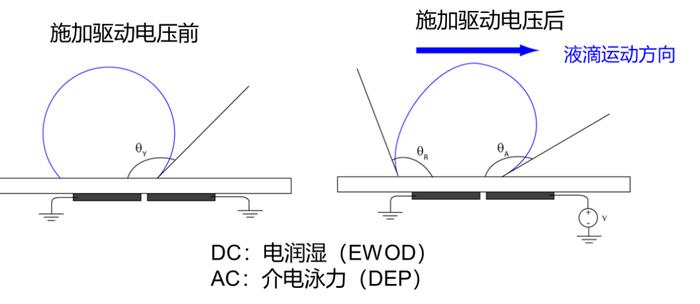 南科大首项国家重大科研仪器研制项目获得国家自然科学基金委资助