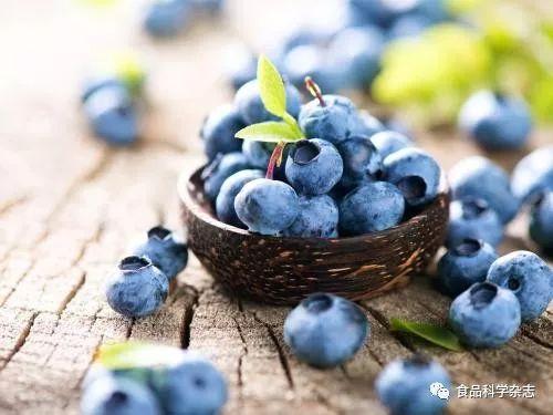 不同蓝莓品种果实品质比较与综合评价