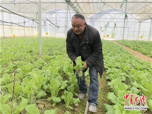 绿色发展道路引领的中国扶贫样板