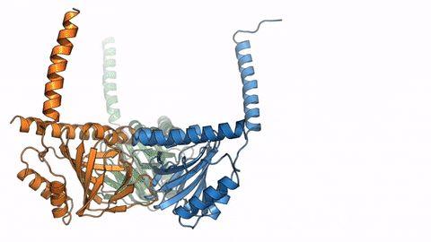 薛定谔的猫发威：量子计算机和量子软件成高科技新增长点