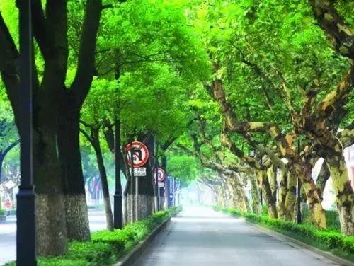 踏青怕堵？沿苏州这十条最美骑行路线，赴一场春天的约会
