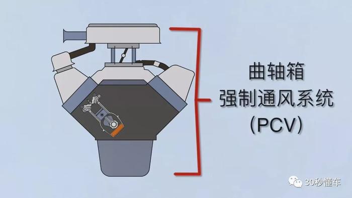 揭秘发动机机油为何变多 想根治并不难丨 每日一课