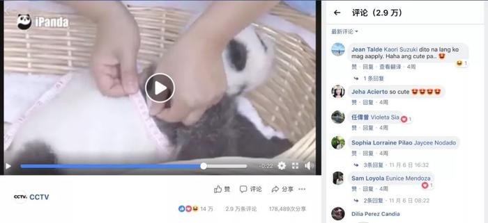 老外到底多爱大熊猫？