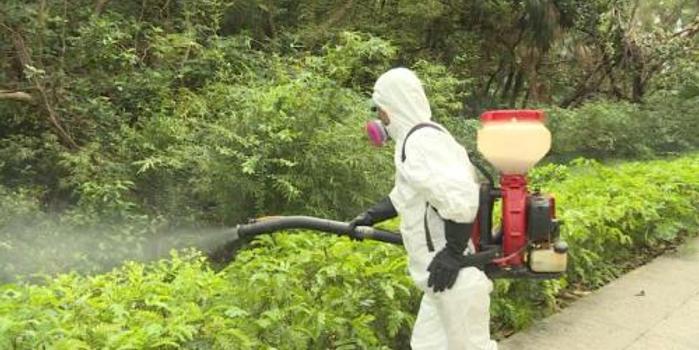 香港食环署引入新型捕蚊器 以真菌抑制蚊虫生长