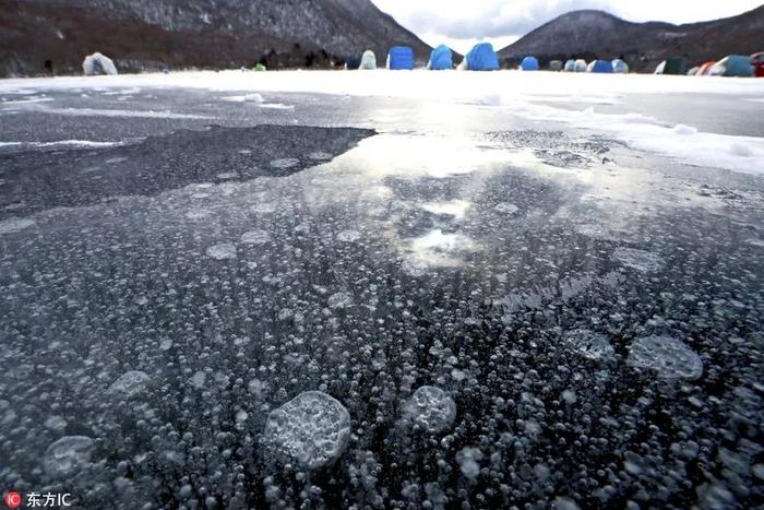 自然 | 美！日本湖面现“冰冻气泡” 奇观，如梦似幻