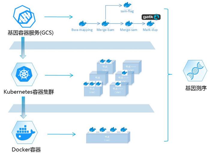 第三代基因测序腾“云”起航 企业降本增效可以交给这朵云