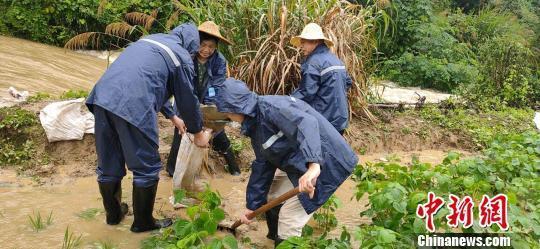 强降雨持续影响浙江 24小时内55个乡镇降雨量超百毫米