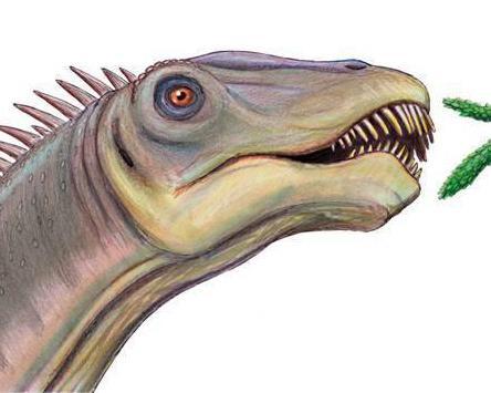 新知问答｜为什么陆地上再也没有出现像恐龙那么大的动物？