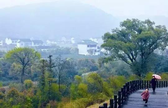 踏青怕堵？沿苏州这十条最美骑行路线，赴一场春天的约会